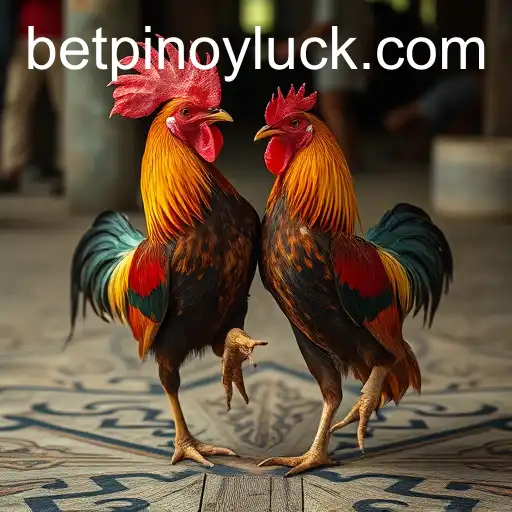 The Tradition and Controversy of Cockfighting: Exploring PINOYLUCK